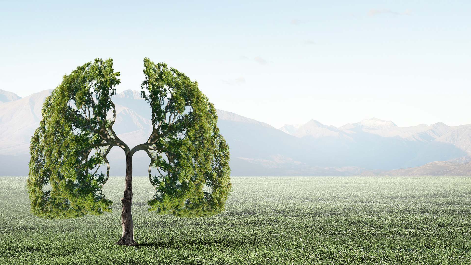 North Jersey Pulmonary Associates | Pulmonary Embolism, Smoking   Vaping and Asthma
